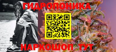 гидра Краснокаменск